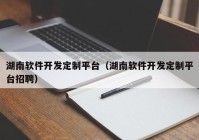 湖南软件开发定制平台（湖南软件开发定制平台招聘）